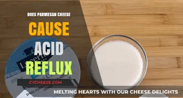 Parmesan Heartburn: Why This Cheese Causes Acid Reflux