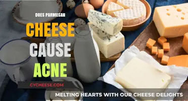 Parmesan Cheese and Acne: Is There a Link?