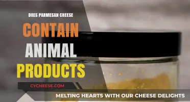 Parmesan Cheese: Animal Products or Not?