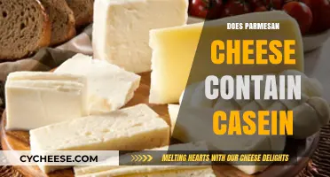 Parmesan Cheese and Casein: What You Need to Know