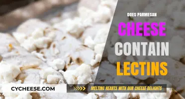 Parmesan Cheese and Lectins: What's the Deal?