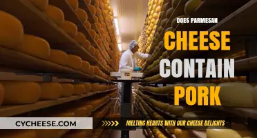 Is Parmesan Cheese Safe for Muslims and Jews?