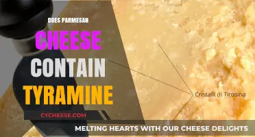Parmesan Cheese and Tyramine: What You Need to Know