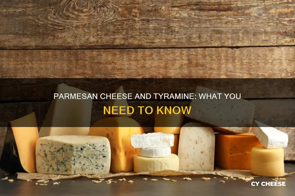 does parmesan cheese contain tyramine
