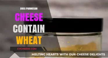 Parmesan Cheese: Is It Gluten-Free?