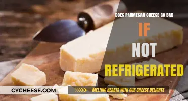 Parmesan Cheese: Does it Need Refrigeration?