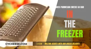 Freezer Storage: Can Parmesan Cheese Go Bad?