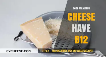 Parmesan Cheese: A Rich Source of Vitamin B12?