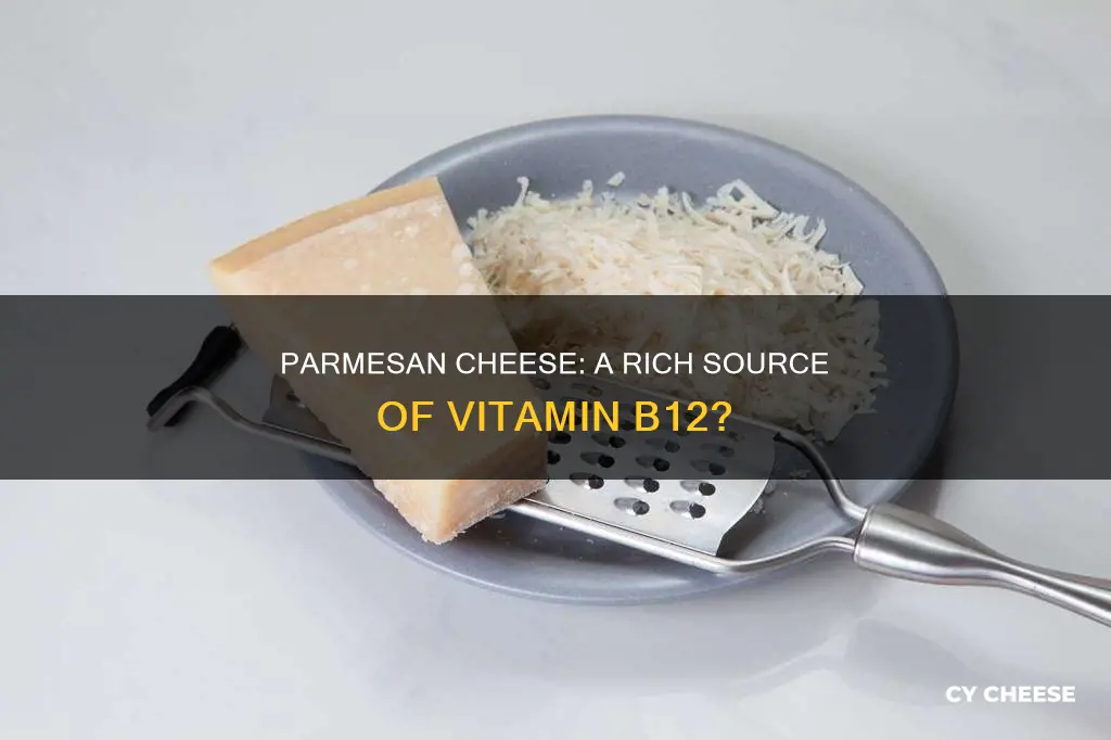 does parmesan cheese have b12