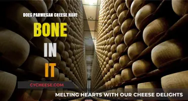 Parmesan Cheese: Bone-Free or Not?