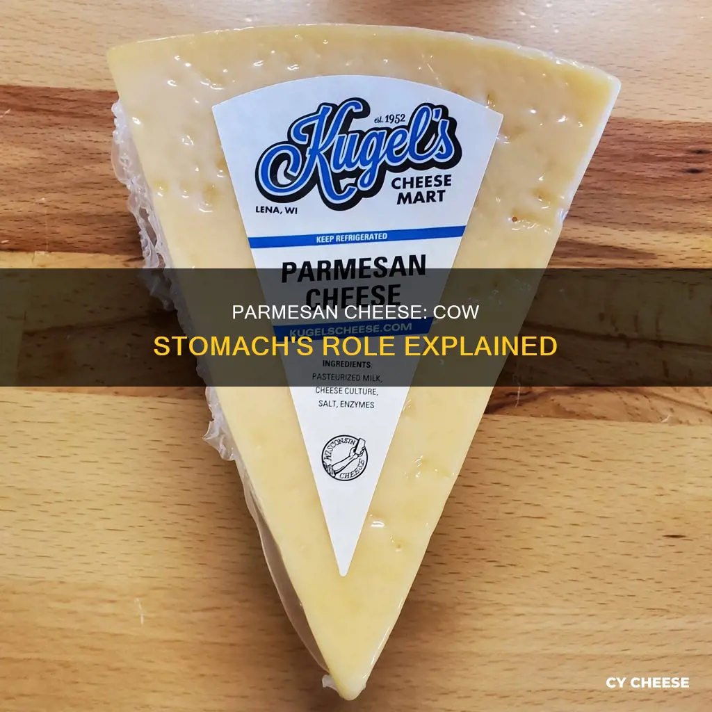 does parmesan cheese have cow stomach