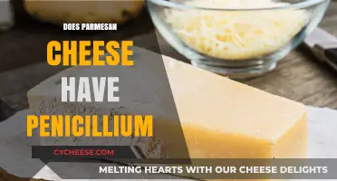Parmesan Cheese and Penicillium: What's the Connection?