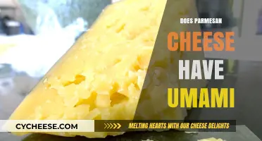 The Umami Factor in Parmesan Cheese