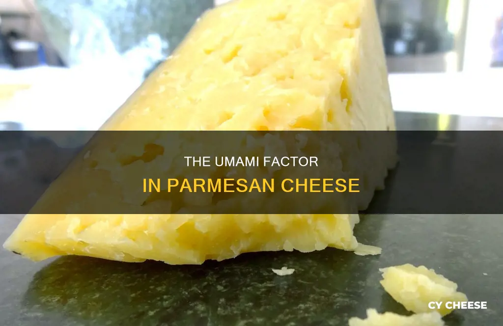 does parmesan cheese have umami