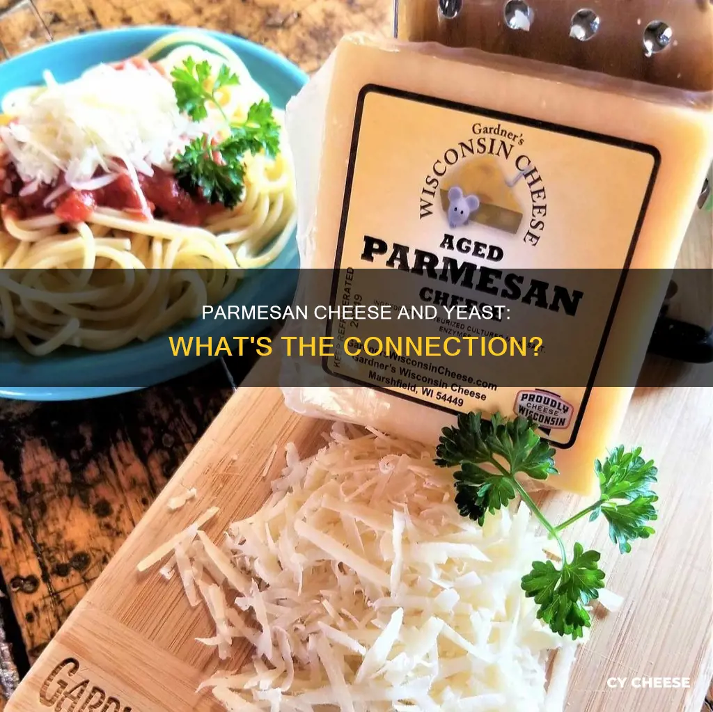 does parmesan cheese have yeast