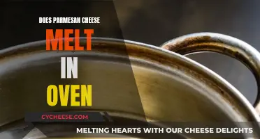 Parmesan Cheese Melting Secrets in the Oven