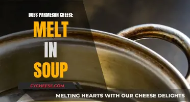 Melting Parmesan in Soup: Does it Work?