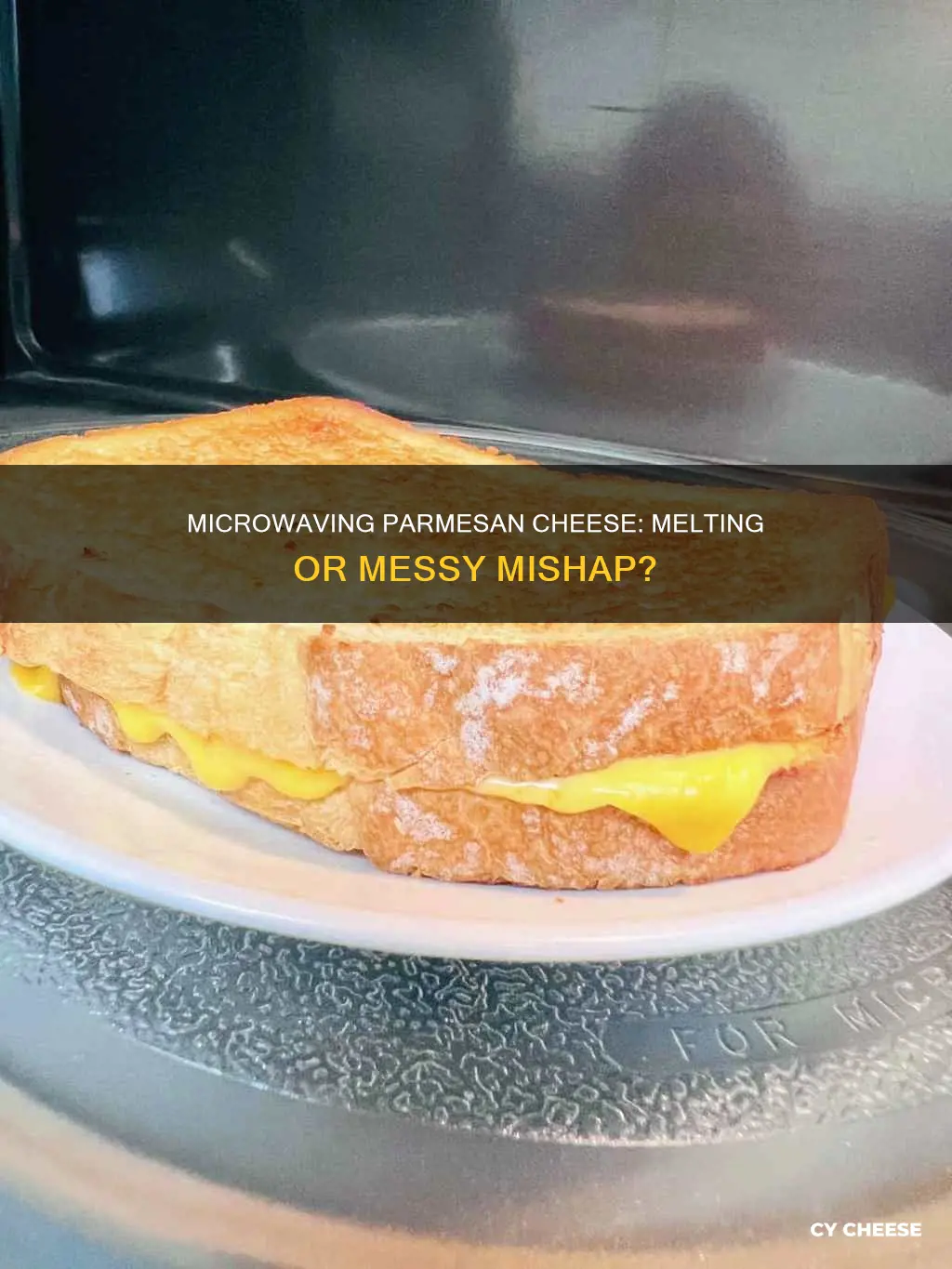 does parmesan cheese melt in the microwave