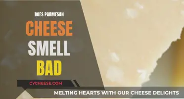 Why Does Parmesan Cheese Have a Pungent Odor?