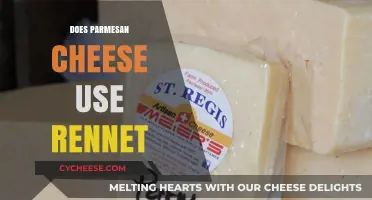 Rennet in Parmesan Cheese: What You Need to Know