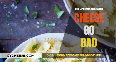 How Long Does Grated Parmesan Cheese Last?
