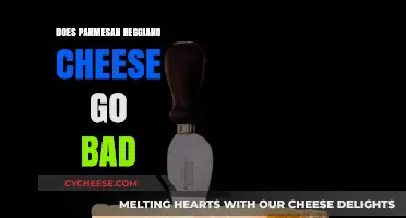 How Long Does Parmesan Reggiano Cheese Actually Last?