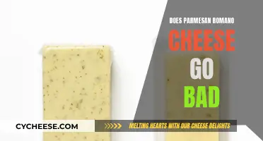 Parmesan Romano Cheese: How Long Does it Last?