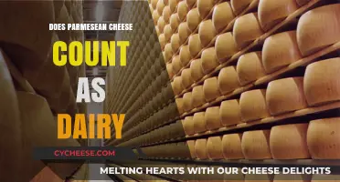 Parmesean Cheese: A Dairy Conundrum?