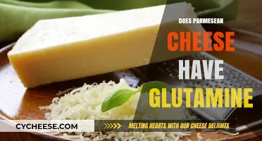 Parmesean Cheese and Glutamine: What's the Connection?