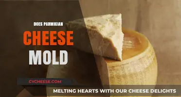 Does Parmigiano-Reggiano Mold? Understanding Aging and Cheese Preservation
