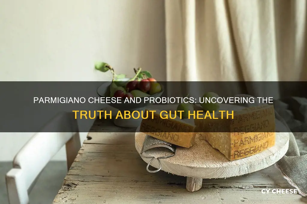 does parmigiano cheese have probiotics