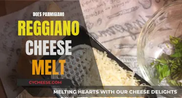 The Melting Magic of Parmigiano Reggiano Cheese