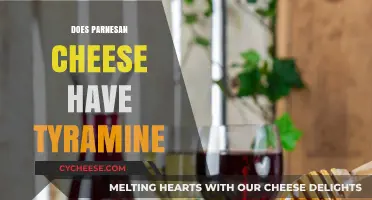 Does Parmesan Cheese Contain Tyramine? A Detailed Look