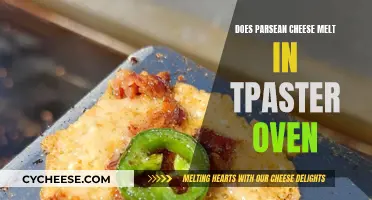 Toaster Ovens and Melting Parmesan Cheese: What's the Verdict?