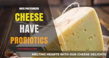 Does Pasteurized Cheese Contain Probiotics? Unraveling the Truth