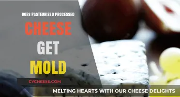 The Mystery of Mold: Pasteurized Processed Cheese