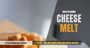 Pecorino Cheese Melting: The Ultimate Guide