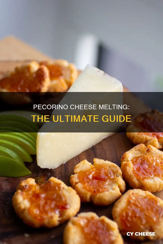 does pecorino cheese melt