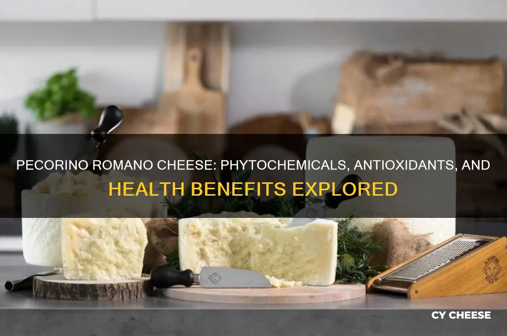 does pecorino romano cheese have phytochemicals and antioxidants