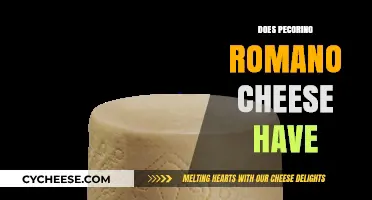 Does Pecorino Romano Cheese Have Lactose, Gluten, or Other Allergens?