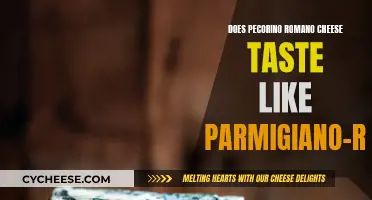 Pecorino Romano and Parmigiano-Reggiano: Similar Cheeses, Different Tastes?