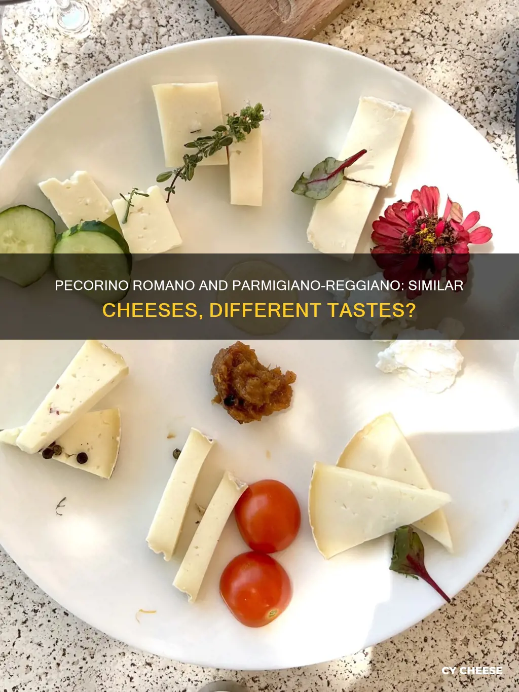 does pecorino romano cheese taste like parmigiano-reggiano