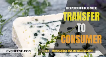 Blue Cheese and Penicillin: What Consumers Should Know