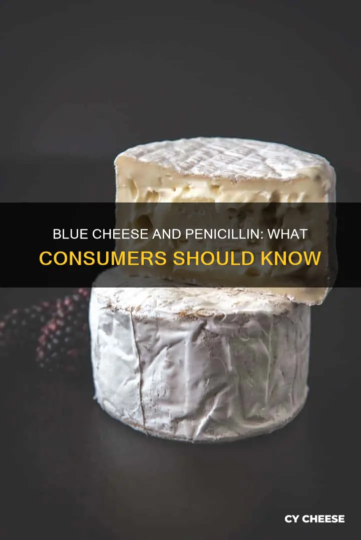 does penicilin in blue cheese transfer to consumer