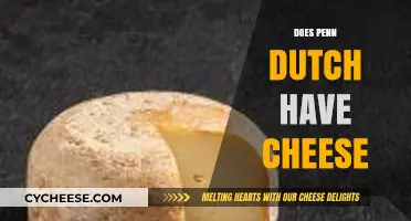 Exploring Penn Dutch: A Look at Their Cheese Selection and Variety