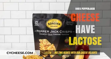 Pepper Jack Cheese and Lactose: What You Need to Know