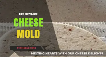 Does Pepperjack Cheese Mold? Understanding Its Shelf Life and Storage Tips