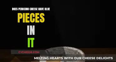 Pecorino Cheese: Why the Blue Pieces?