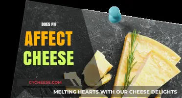 How pH Levels Influence Cheese Flavor, Texture, and Quality