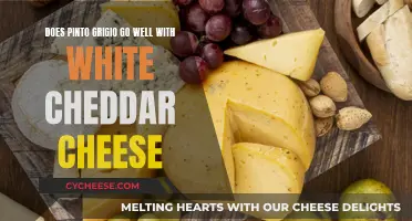 Pinto Grigio and White Cheddar: A Tasty Match or a Culinary Clash?